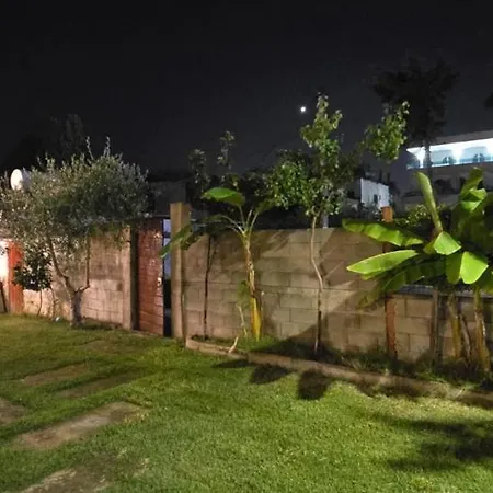 Garden Oasis *